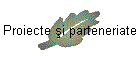 Proiecte şi parteneriate