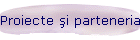 Proiecte şi parteneriate
